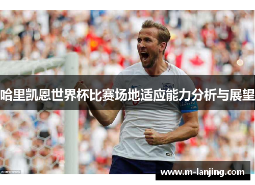 哈里凯恩世界杯比赛场地适应能力分析与展望