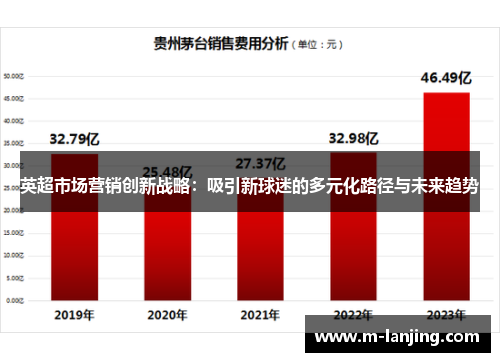 英超市场营销创新战略：吸引新球迷的多元化路径与未来趋势