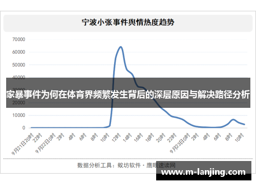 家暴事件为何在体育界频繁发生背后的深层原因与解决路径分析